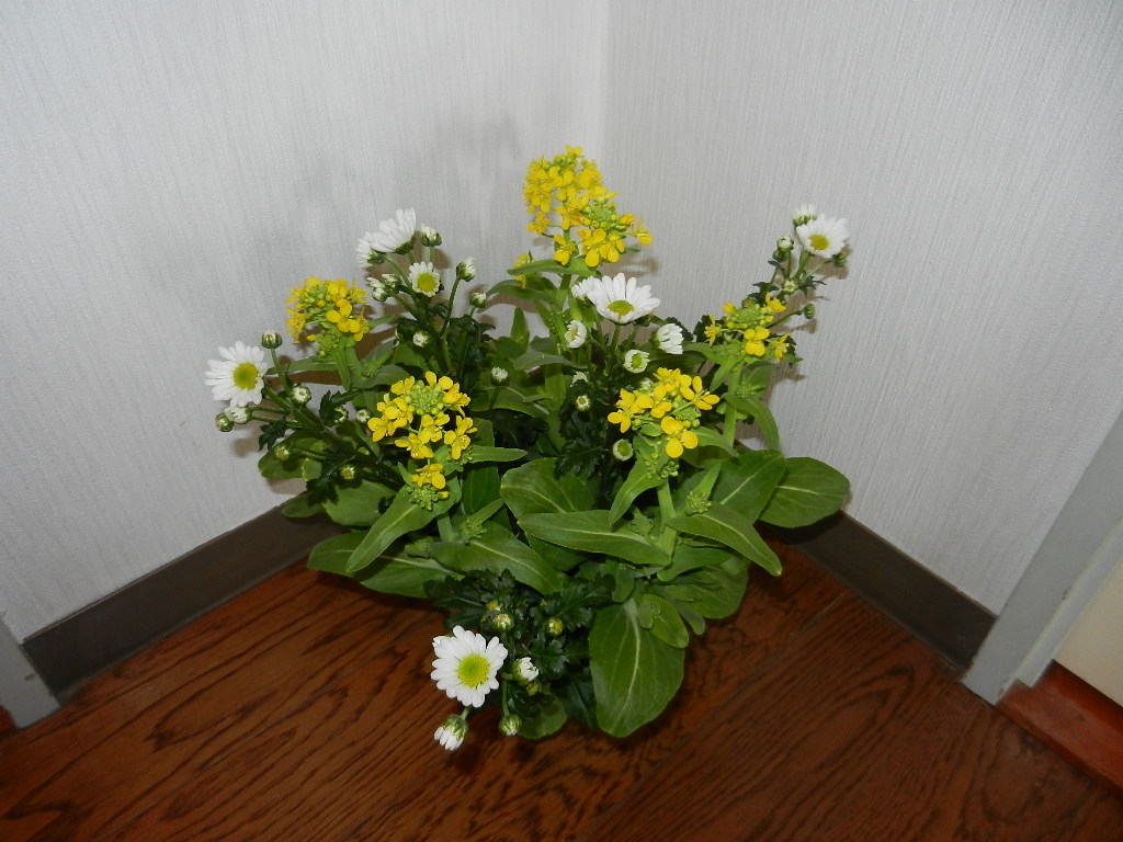 ���ˎs�c��c���E�����������w���C�A���C�A���C�I�x