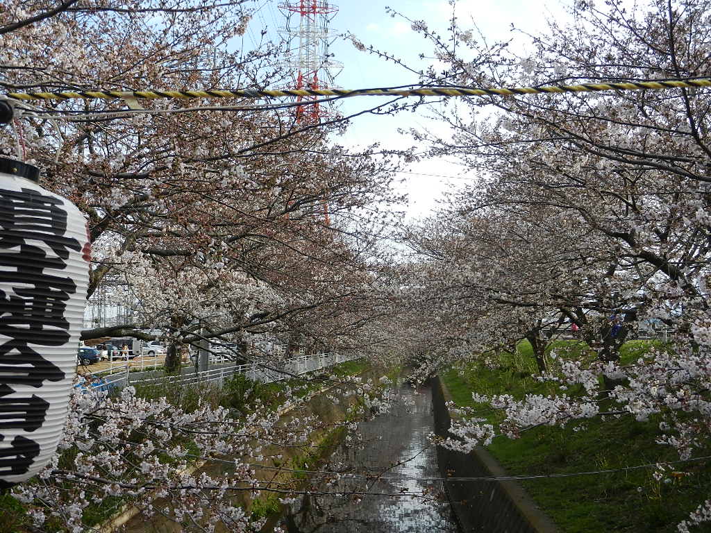 ���ˎs�c��c���E�����������w���C�A���C�A���C�I�x