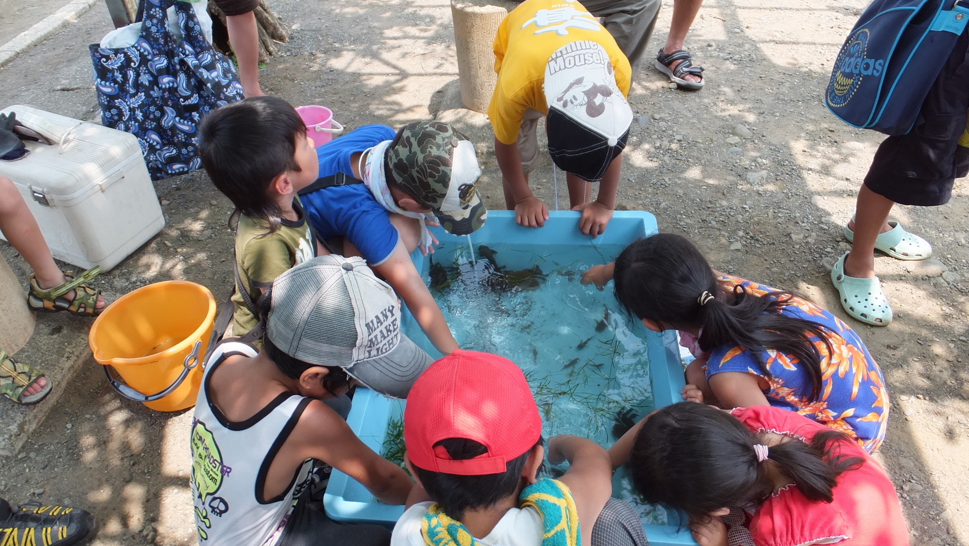 ���ˎs�c��c���E�����������w���C�A���C�A���C�I�x