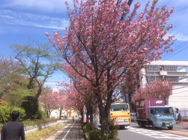 ���ˎs�c��c���E�����������w���C�A���C�A���C�I�x