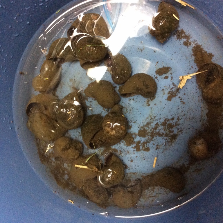 ���ˎs�c��c���E�����������w���C�A���C�A���C�I�x