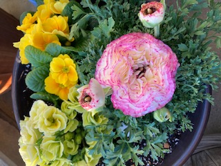 ���ˎs�c��c���E�����������w���C�A���C�A���C�I�x