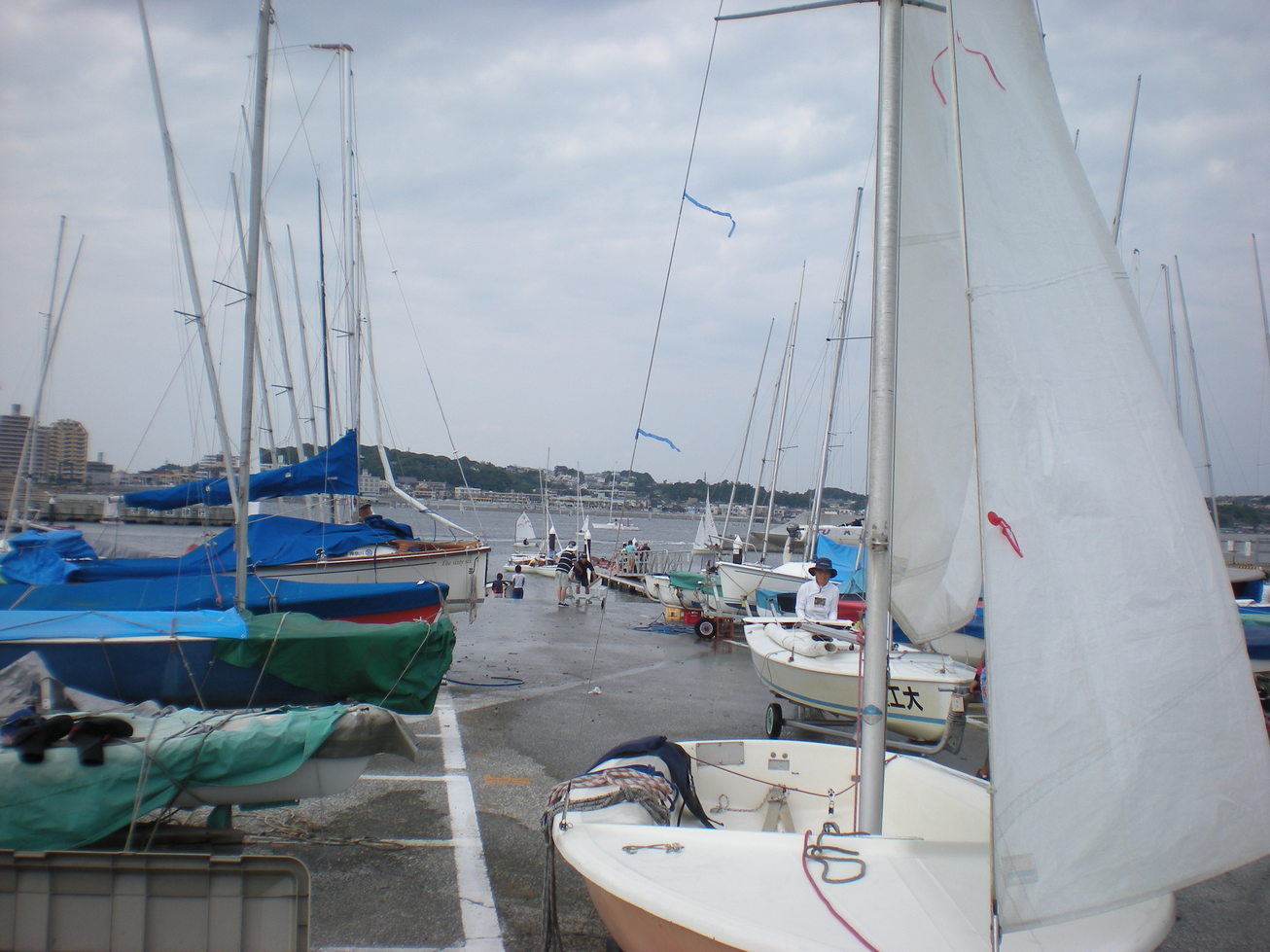 ���ˎs���b�g����EBA-NYU YACHT CLUB�E����