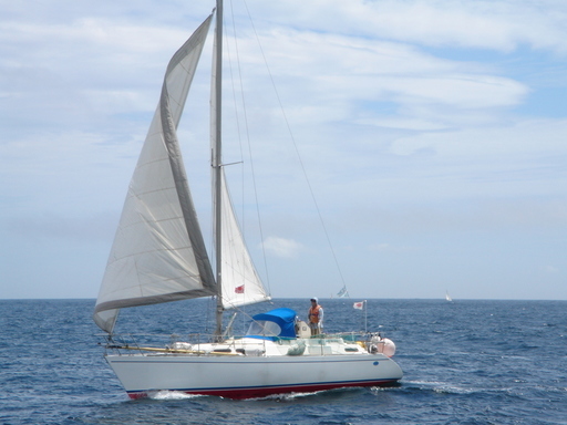 ���ˎs���b�g����EBA-NYU YACHT CLUB�E����