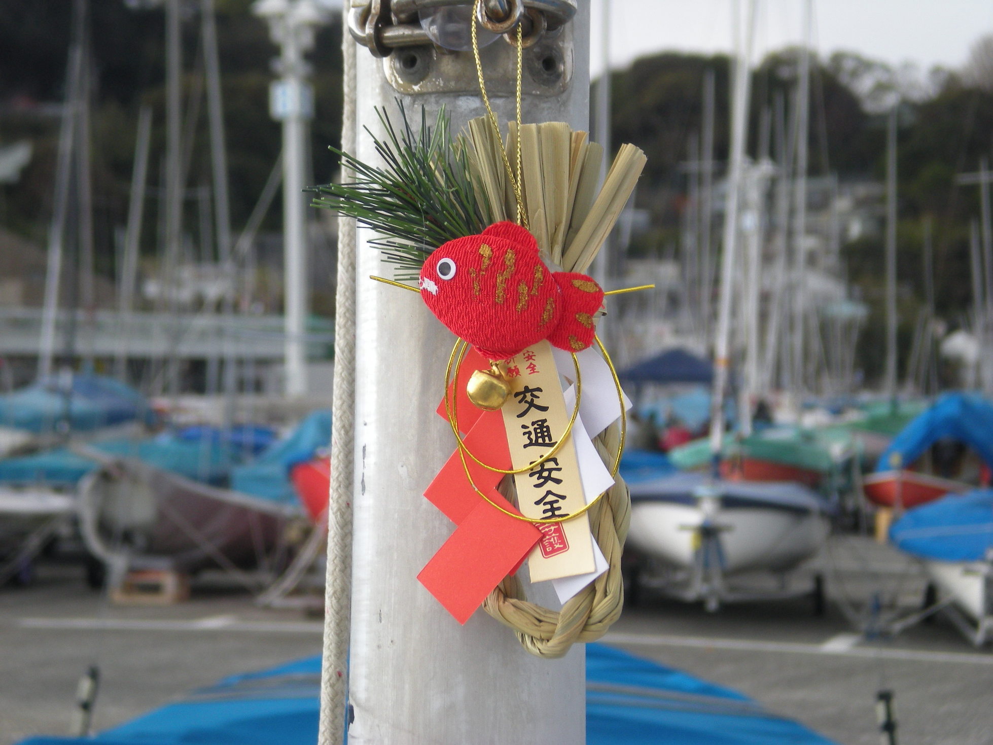 ���ˎs���b�g����EBA-NYU YACHT CLUB�E����