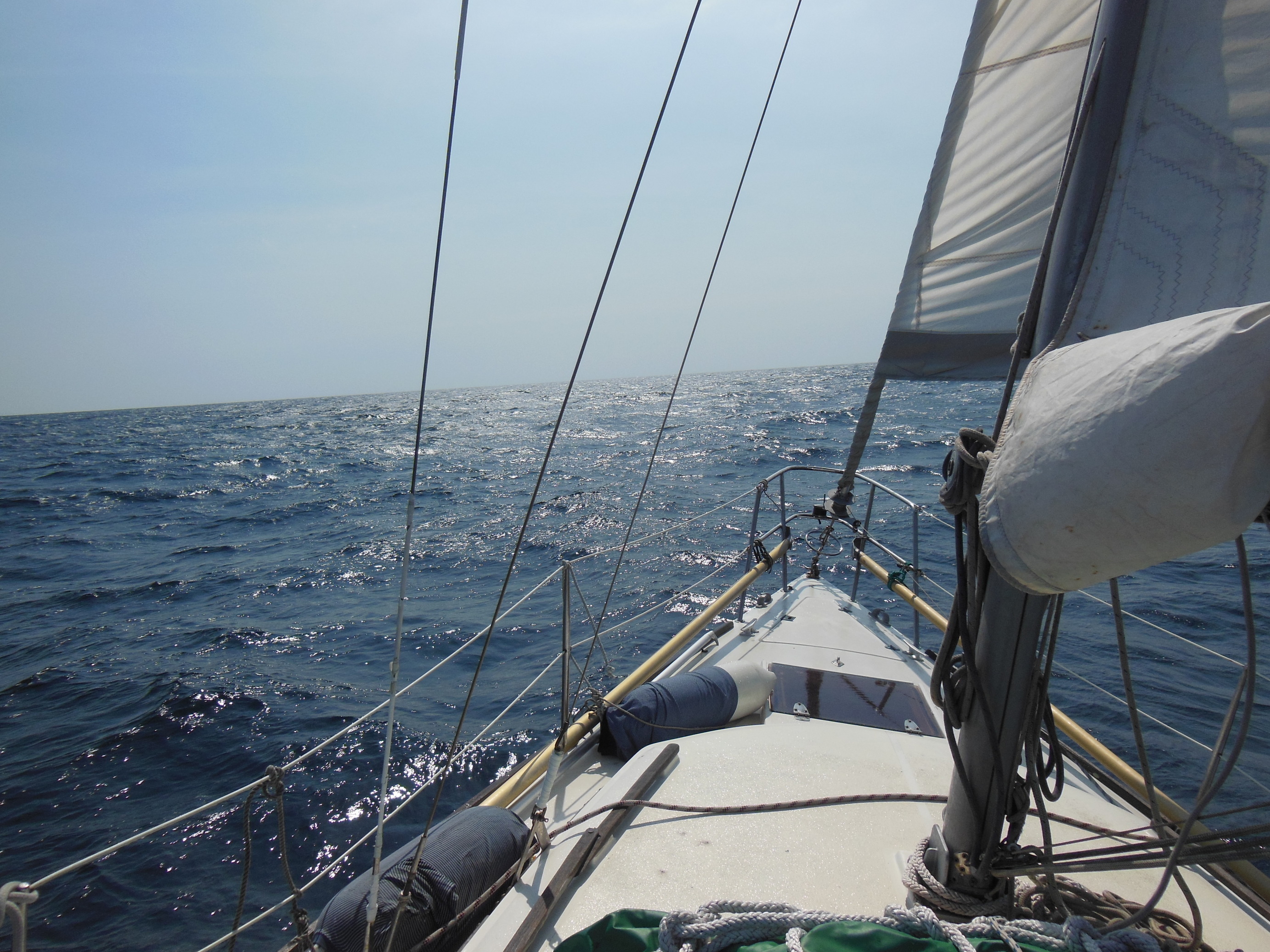 ���ˎs���b�g����EBA-NYU YACHT CLUB�E����