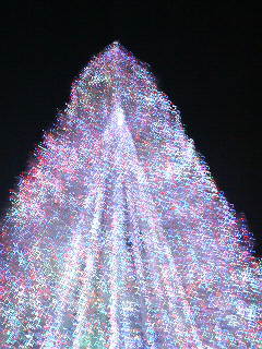 ���ˎs���b�g����EBA-NYU YACHT CLUB�E����