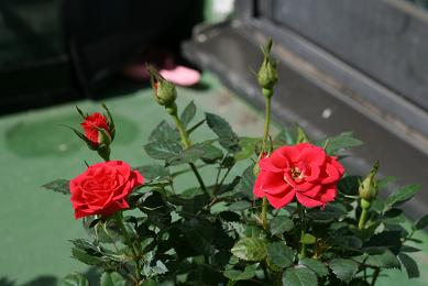 �E�E���ЂƂ育�Ɓ��E�E