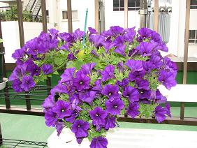 �E�E���ЂƂ育�Ɓ��E�E