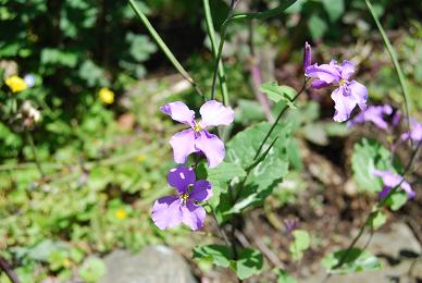 �E�E���ЂƂ育�Ɓ��E�E