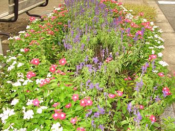 �E�E���ЂƂ育�Ɓ��E�E