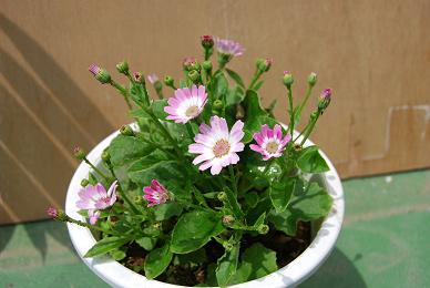 �E�E���ЂƂ育�Ɓ��E�E