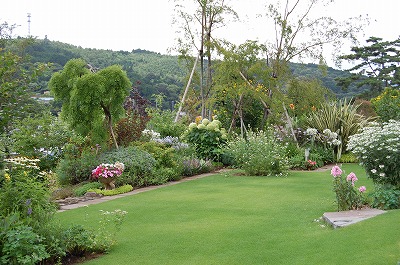 TARA�f���@�c��������