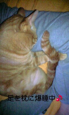 �L����Ё@�C���d�C�@�@��\������@�C���a�j