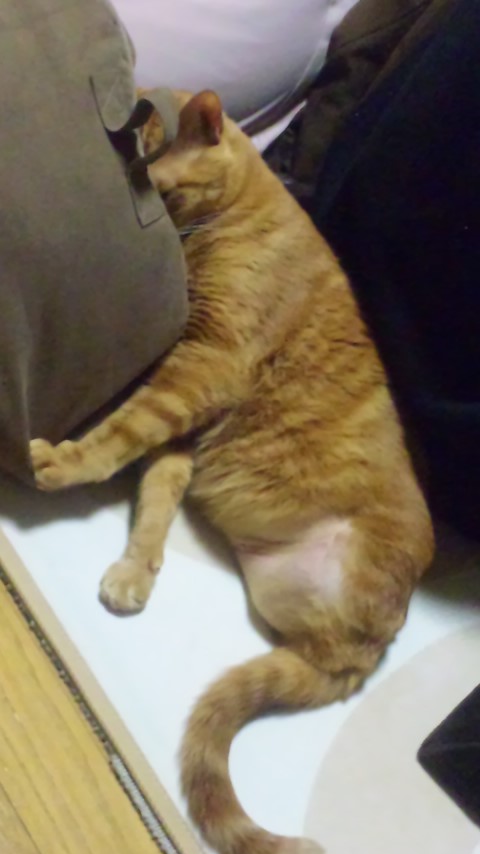 �L����Ё@�C���d�C�@�@��\������@�C���a�j