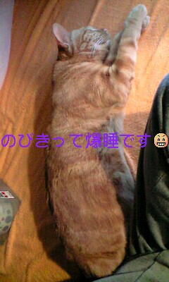 �L����Ё@�C���d�C�@�@��\������@�C���a�j