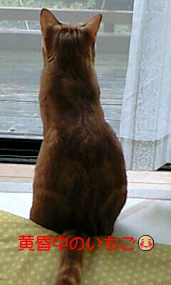 �L����Ё@�C���d�C�@�@��\������@�C���a�j