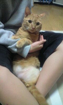 �L����Ё@�C���d�C�@�@��\������@�C���a�j