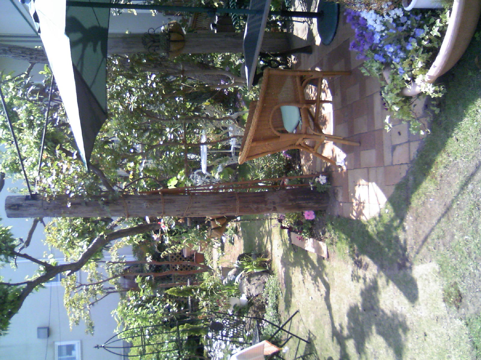 �C�܂�����L