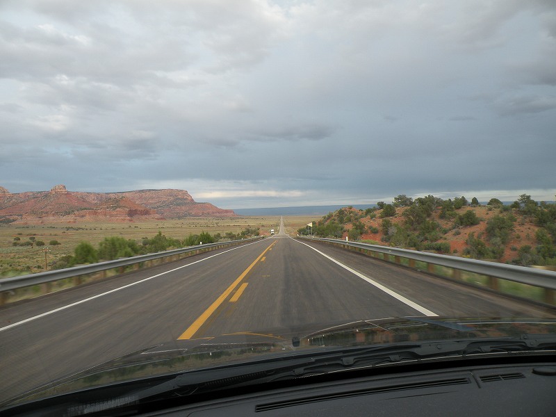 �T�̃g���b�L���O