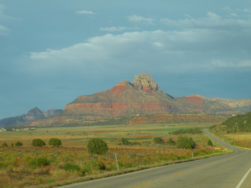 �T�̃g���b�L���O