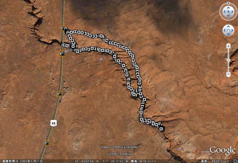 �T�̃g���b�L���O