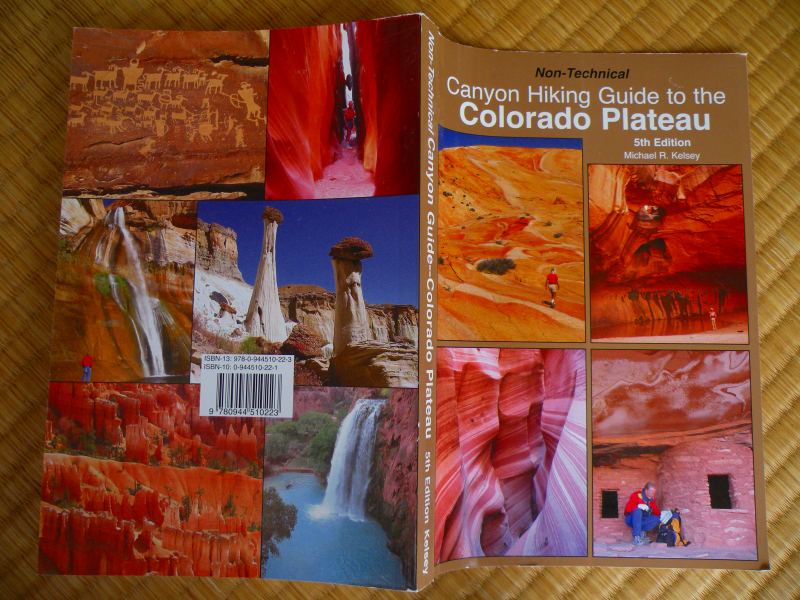 �T�̃g���b�L���O