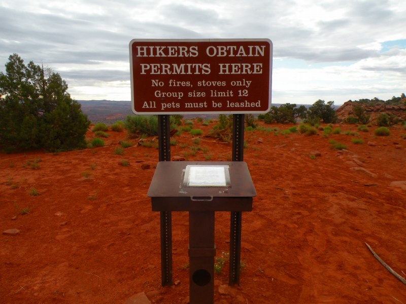 �T�̃g���b�L���O