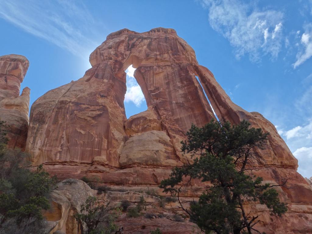 �T�̃g���b�L���O