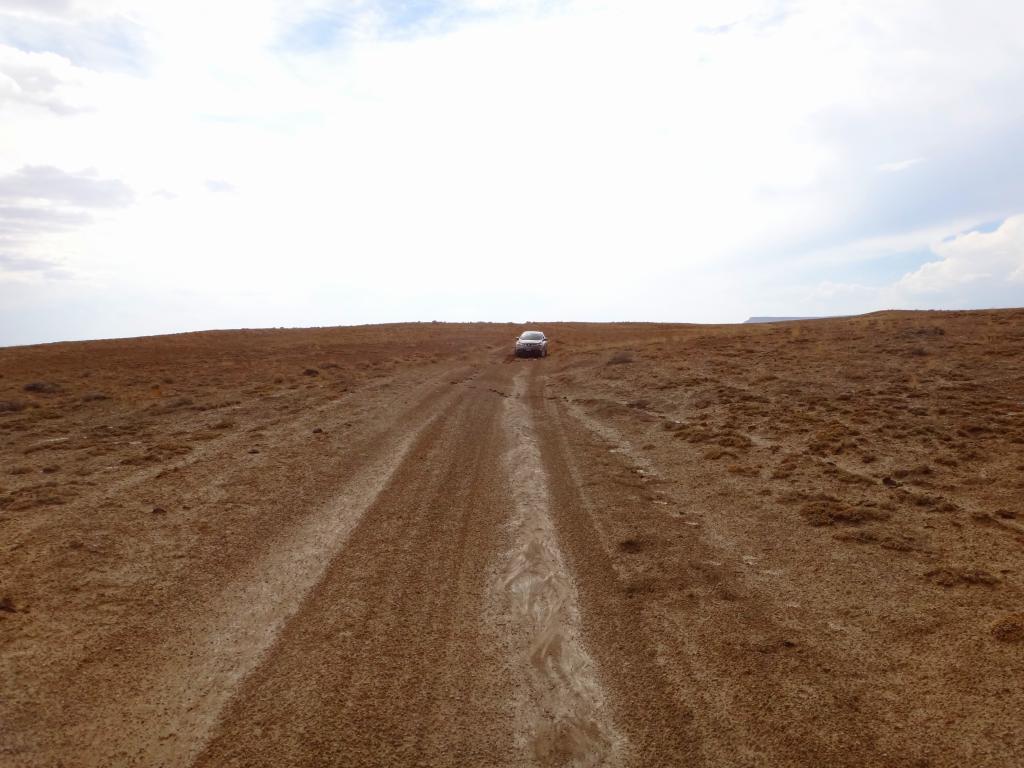 �T�̃g���b�L���O