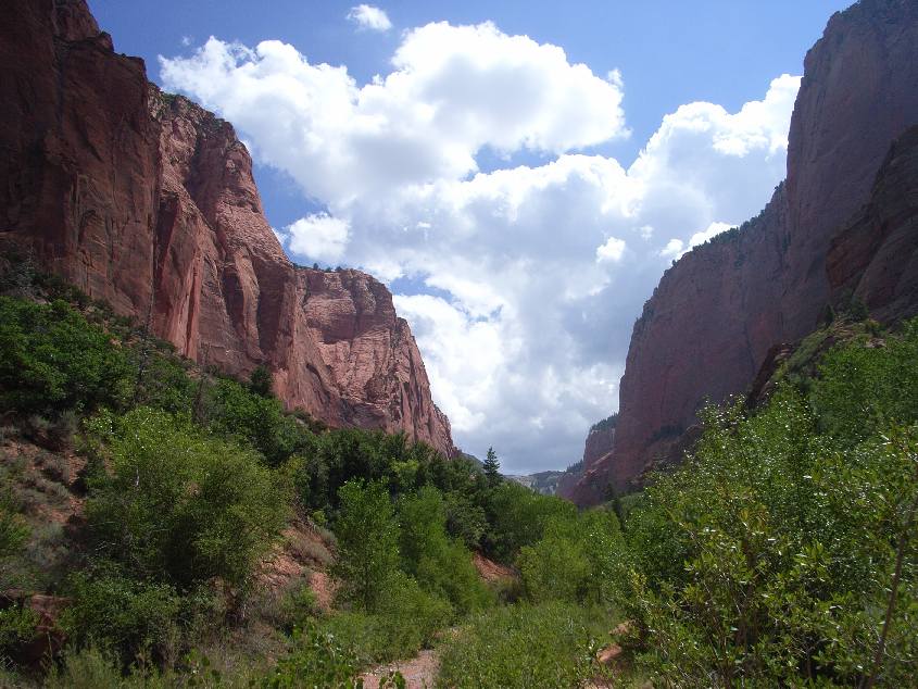 �T�̃g���b�L���O