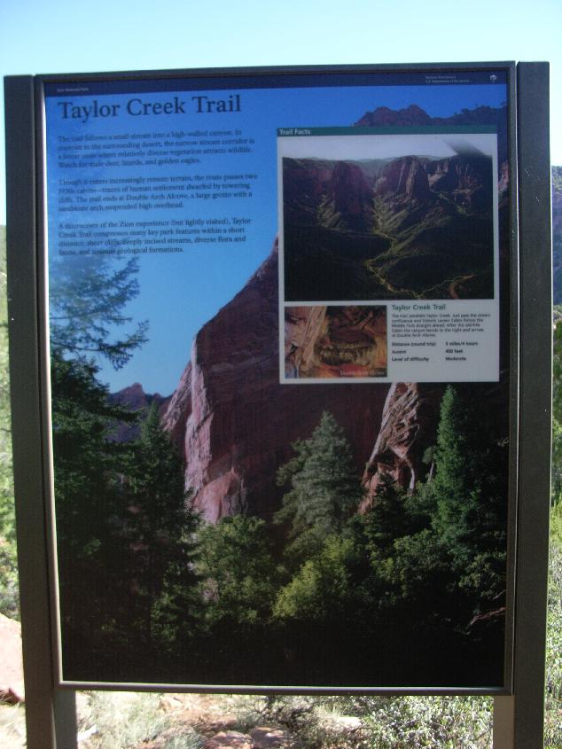 �T�̃g���b�L���O