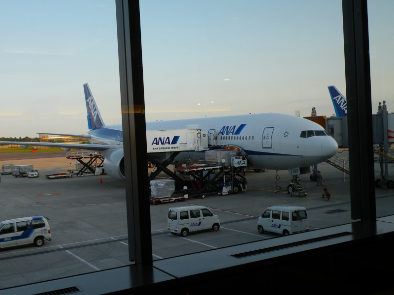 �T�̃g���b�L���O