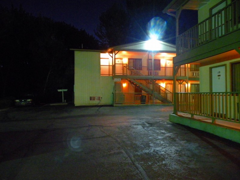 �T�̃g���b�L���O