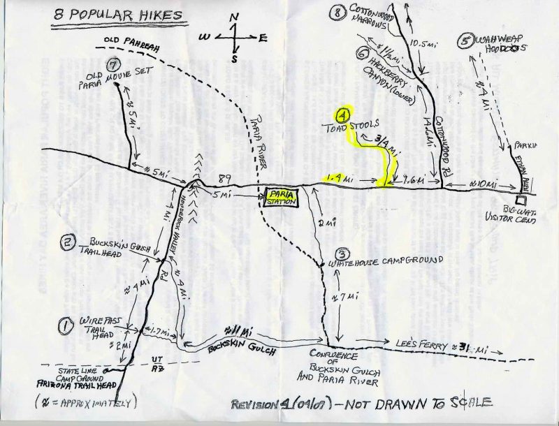 �T�̃g���b�L���O