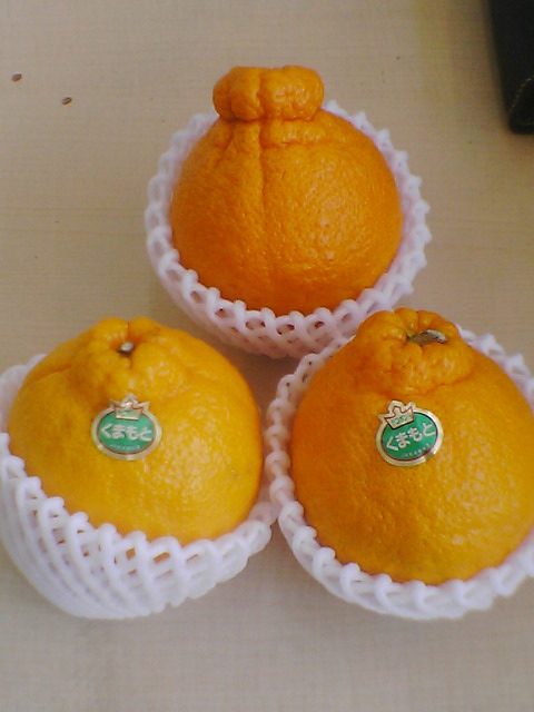 �Ó삩�΂�LAB  �̃��U�[�n���h���C�h����