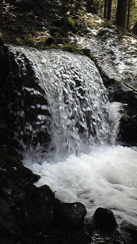 �_�ސ쌧���ˎs���q�[�����O���[��Teresa�e���T��