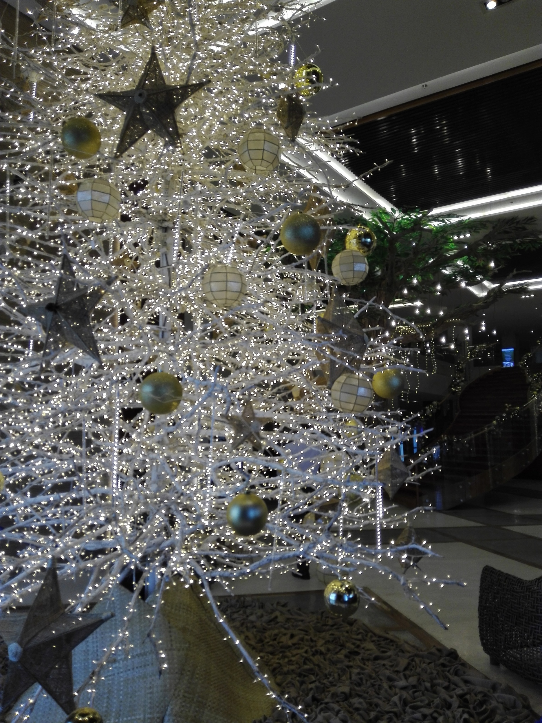 �_�ސ쌧���ˎs���q�[�����O���[��Teresa�e���T��