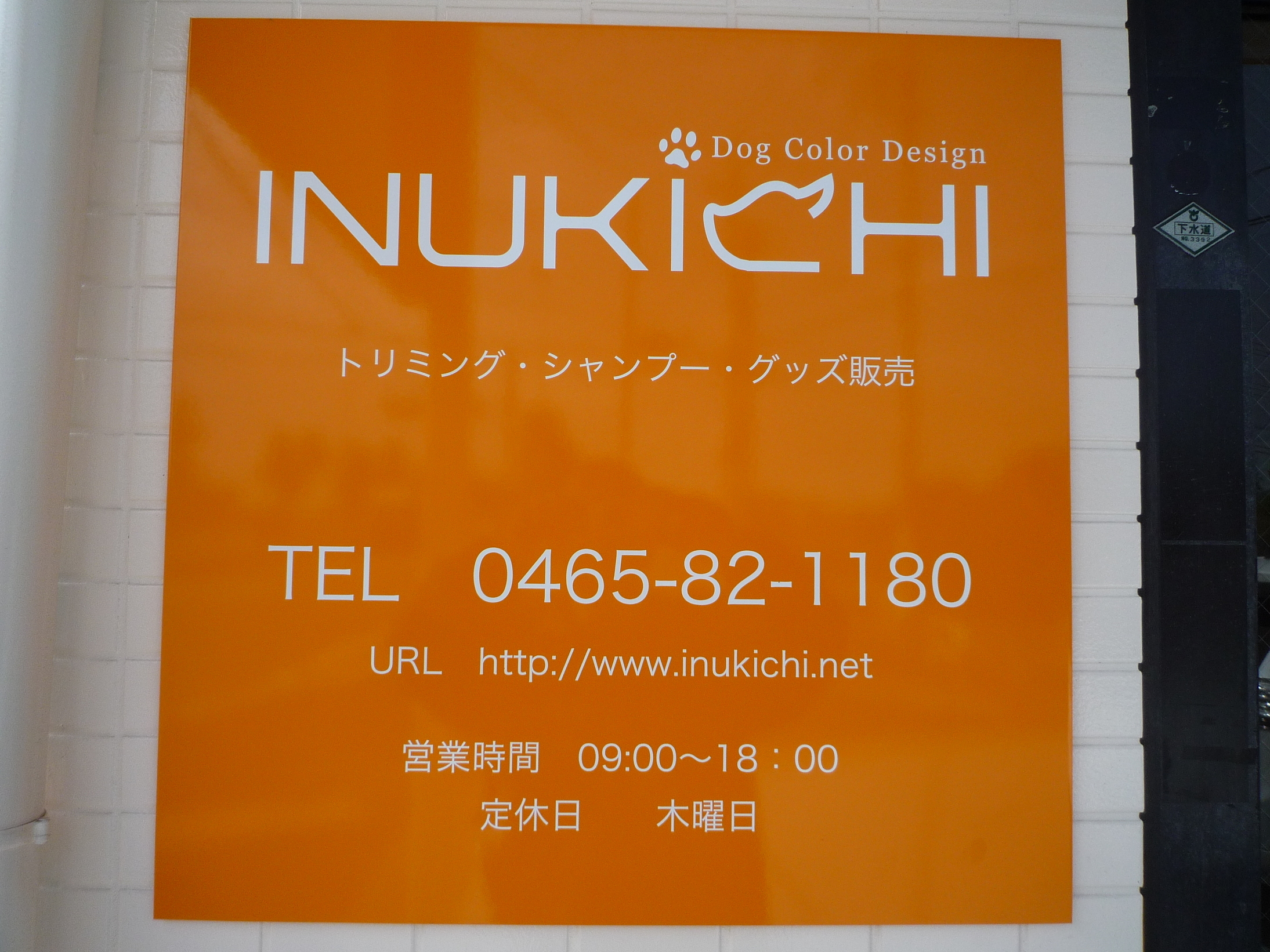 ��������^�C���Y