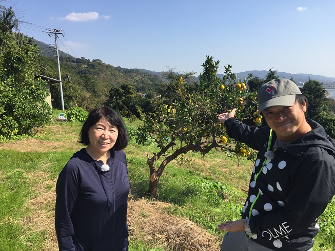 ��������^�C���Y