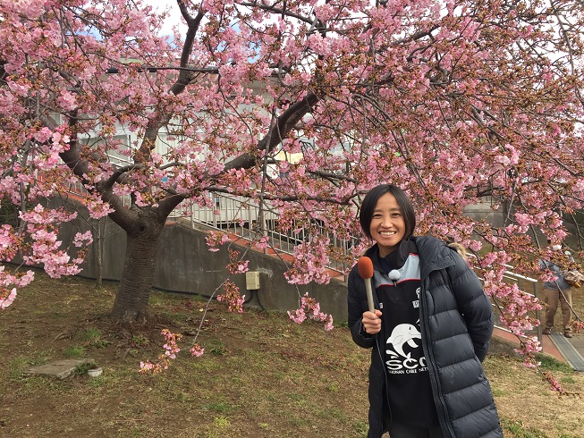 ��������^�C���Y