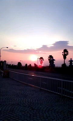 ���L�g���̐Ԃ��\�t�@