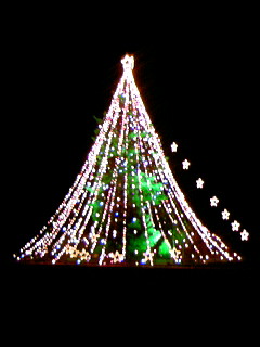 ���L�g���̐Ԃ��\�t�@