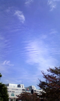 ���L�g���̐Ԃ��\�t�@