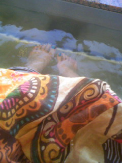 ���L�g���̐Ԃ��\�t�@