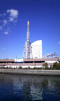 ���L�g���̐Ԃ��\�t�@