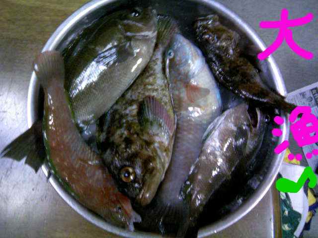 Easy Going�@v(���ށ�)v �C�G�C�I