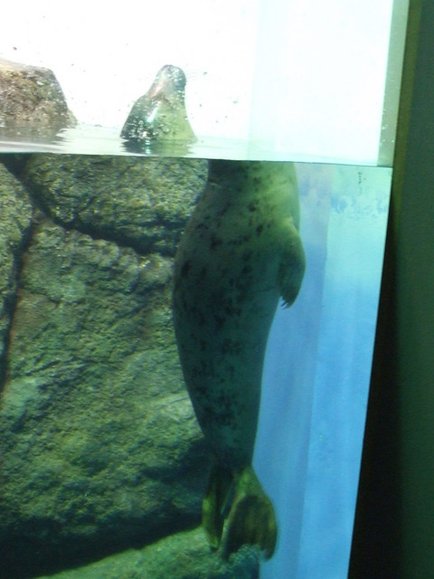 Easy Going�@v(���ށ�)v �C�G�C�I