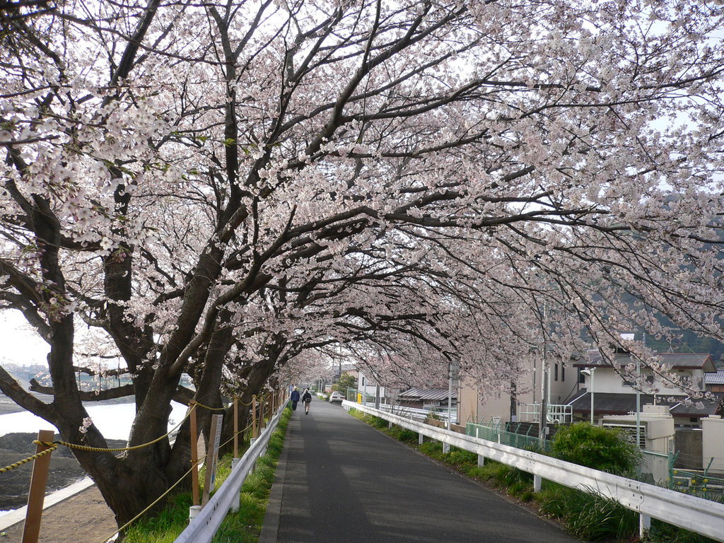 �������A��蓹�A�܂�蓹