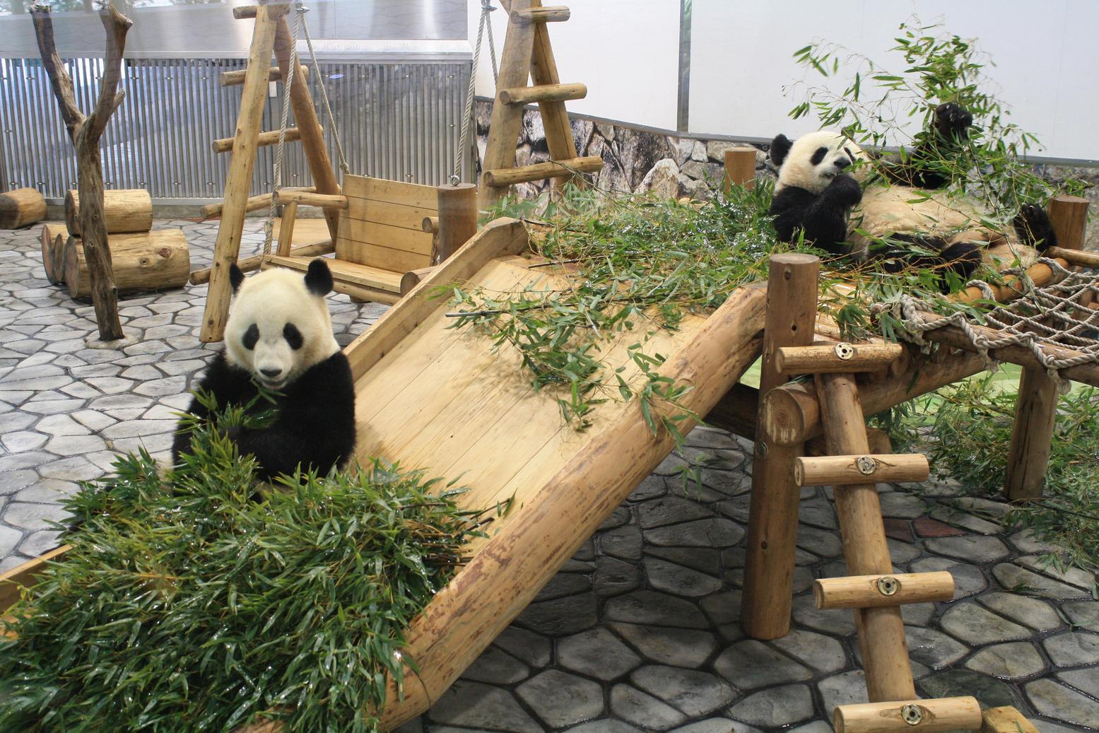 �������A��蓹�A�܂�蓹